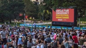 people watching an outdoor movie with trees at the back